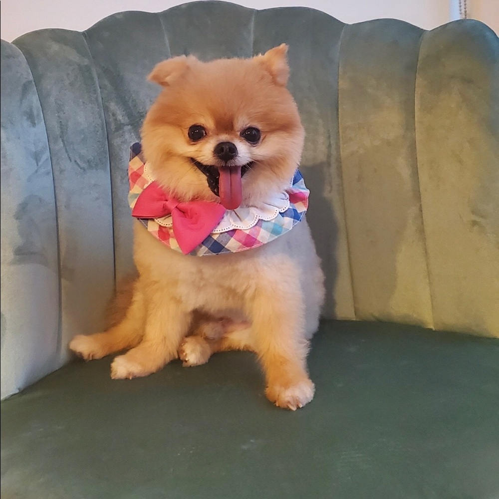 Gucci says ‘Hi, Poshers❤︎Good lick to you All 😜’